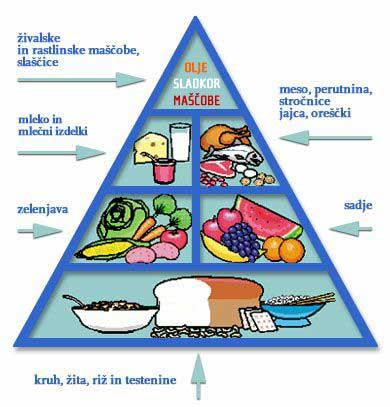 Slika 1: Prehrambena piramida (Prehrambena piramida, 2006) 2.1.2 OGLJIKOVI HIDRATI (OH) Ogljikovi hidrati (OH) so glavni vir energije za telo.