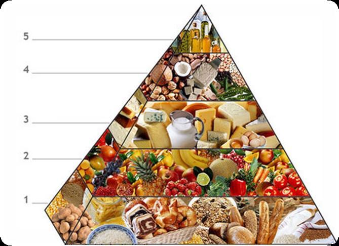 Pravilna prehrana mora vsebovati: čimveč žit in žitnih izdelkov (40 %) (črni kruh, testenine, riž ) sadje in zelenjavo (35 %) najmanj ena tretjina naj bo