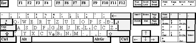 Standardna računalniška tipkovnica ima več kot 100 tipk, ki jih glede na njihov namen delimo v skupine: alfanumerične tipke (črke, številke in ostali znaki), numerična tipkovnica (ima kontrolno
