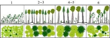 če gozdni rob ali cesta seka samo podploskev R3, se bo ustrezno zmanjšal delež površine samo te ploskve (primer levo).