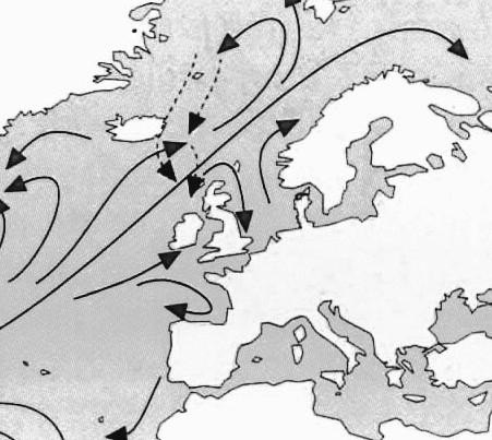 10. Oglej si zemljevid na sliki 2 in reši nalogo. Atlantski ocean Legenda: topli morski tok Slika 2: Severnoatlantski (Zalivski) tok (Vir: http://geografija.kaplis.si/zahodna-evropa.html.