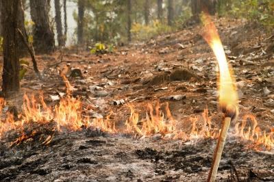 Požari Nastanek naravnih požarov, če je zemlja zelo suha, hkrati pa se tudi hitreje širijo, les pa