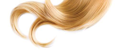 NEGA LAS Garnier Fructis aloe vera šampon za lase 250 ml 2 29 0,92 za 100 ml Naturavit balzam za barvane lase 100 ml 5 49 5,49 za 100 ml od 04.2018 5,49 10.