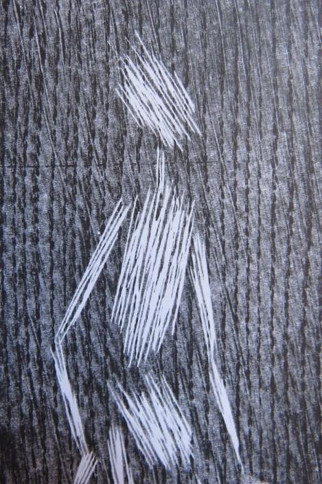 Slika 57: Detajl v ozadju vidna struktura odprtih por pri lesu Ko sem lesoreze odtiskovala na lesene tiskovne