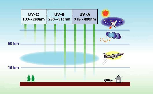 Slika 2: Prehod UVA, UVB in UV C sevanja skozi Zemljino ozračje. UV sevanje (UV A, UV B in UV C sevanje) Vir: svetovni splet https://www.google.si/search?