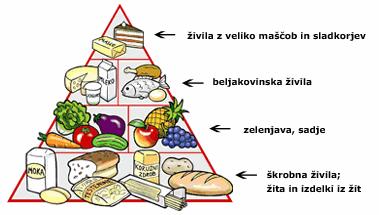Slika št. 1: Piramida zdrave prehrane Vir: Požar (2003, str. 44). Dno prehranske piramide tvorijo žita in živila iz žit (skupaj s stročnicami in krompirjem).