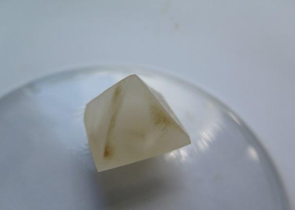 Kristal halita z vraščeno glivo Wallemia ichthyophaga (foto C. Gostinčar). 2.1.