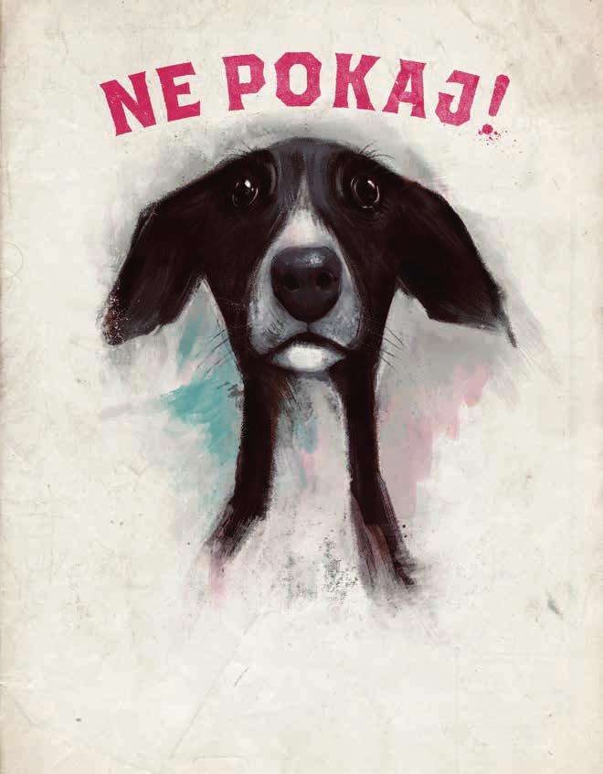Vir: www.hungaricana.hu zaradi petard in raket psi izgubljajo tudi življenja. Poke slišijo veliko glasneje in pogosto jim poškodujejo tudi sluh.
