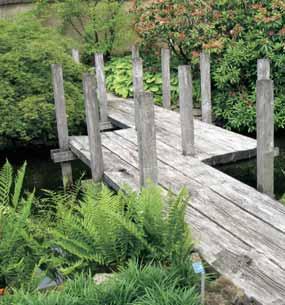 Oblikovanje vrta Zasaditev ob potoku Za večino ljudi predstavlja prisotnost vodnega motiva v vrtu sanjsko željo.