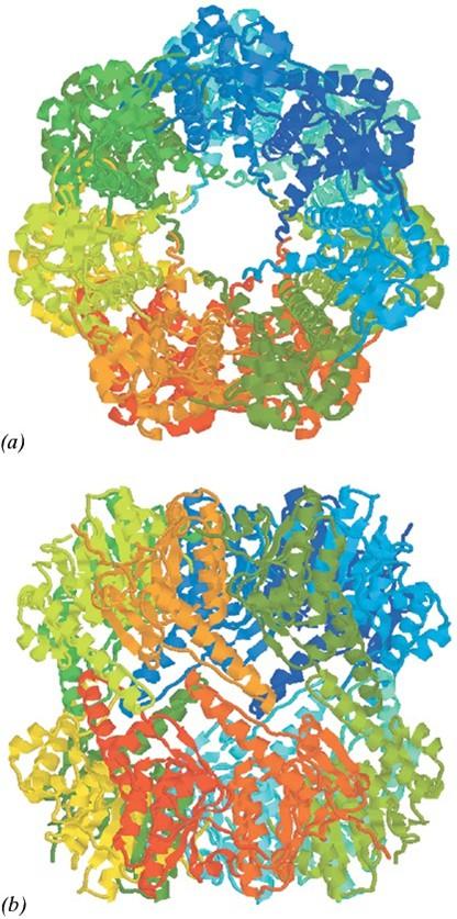 Razgradnja proteinov pri prokariontih Bakterije nimajo proteasomov 20 S (izjema: Actinomyces), vseeno pa imajo od ATP odvisno razgradnjo