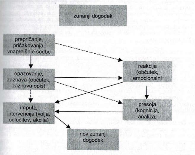 Slika 2: Večplastni model učiteljeve profesionalnosti ali model čebule (Marentič Požarnik, 2007, str. 11) 3.