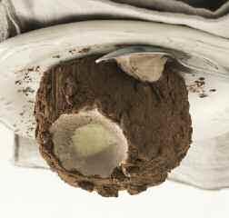 Hazelnuts semifreddo with a chocolate core, coated with praline hazelnuts and crushed meringue.