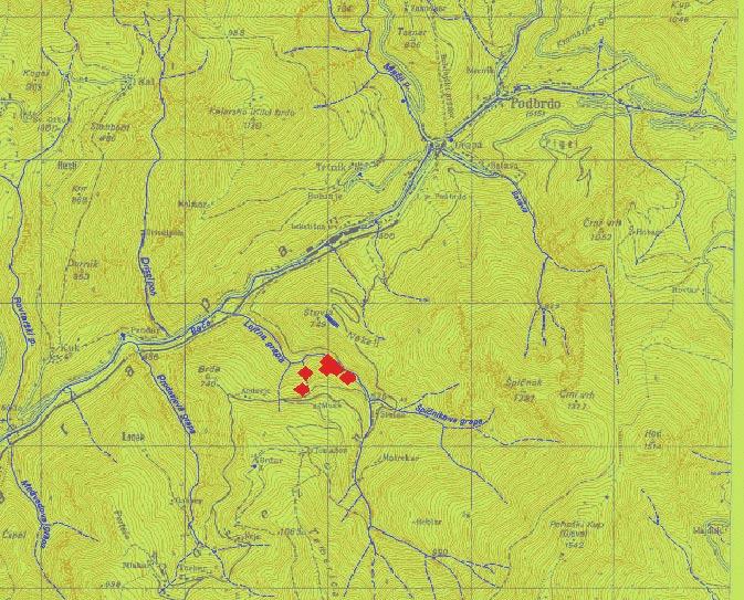 SCOPOLIA 60-2007 Slika 13: Nahajališča sestojev asociacije Dryopterido affini-aceretum (Vir: Državna topografska karta RS 1: 25 000, GURS).