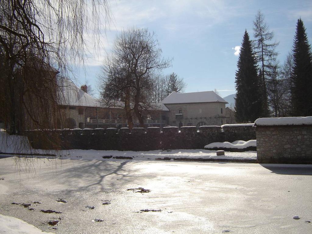 Slika 5: grad Ribnica Podjetje ima v registru tudi pogrebno in pokopališko dejavnost.