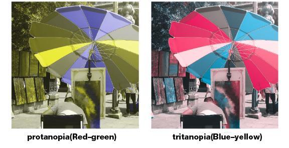 Popolna diagnoza glede pomanjkljivosti videnja barv ni mogoča preko spletnega testiranja, za več informacij je potrebno obiskati strokovnjake. (povzeto iz http://enchroma.