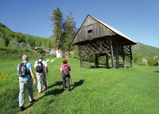 Za vsakogar nekaj Društvo upokojencev Elektro Gorenjska Florijan Cerkovnik Janez Potočnik Plan aktivnosti v letu 2019 Vsi ljubitelji narave in gora, lepo vabljeni na planinske ture in izlete, ki so
