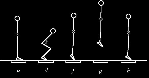 Slika 13: Grafi za navpični skok.