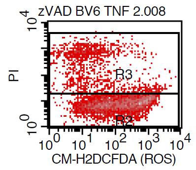 kaspazna aktivnost (DEVD) 20 18 16 14 12 10 8 6 4 2 0 CTR 4 8 10 16 24 TNF-α + BV6 + zvad-fmk čas h+ Slika 13: Aktivnost kaspaz po dodatku kombinacije TNF-α in BV6 po različno dolgih inkubacijah.