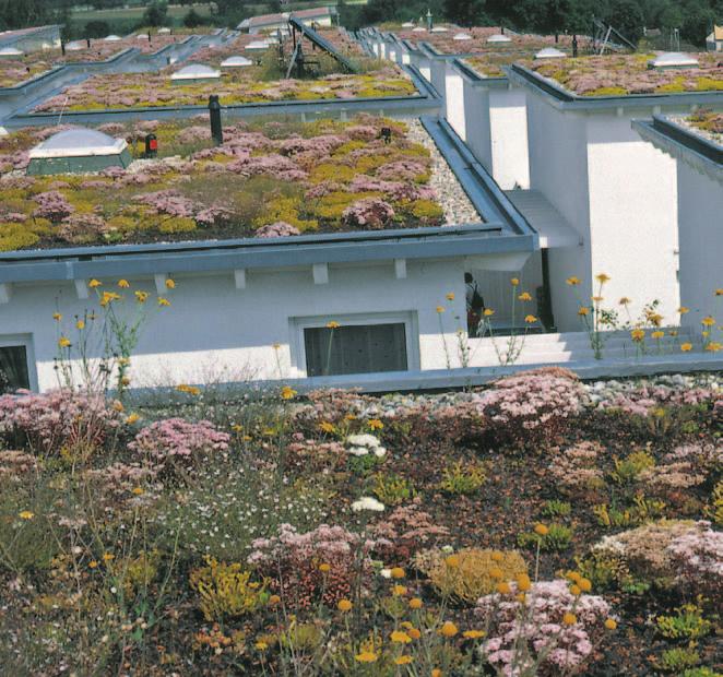 Zazelenitve streh Bauder Prednosti so jasne Zelene strešne pokrajine so lepe in ponujajo vrsto prednosti.