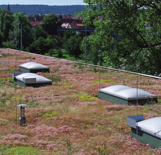 Zazelenitve streh Bauder Napotki za projektiranje Odvodnjavanje strehe Zadrževanje in upočasnjeno odtekanje vode z zelene strehe je navedeno v koeficientu odtekanja v odvisnosti od debeline sloja.