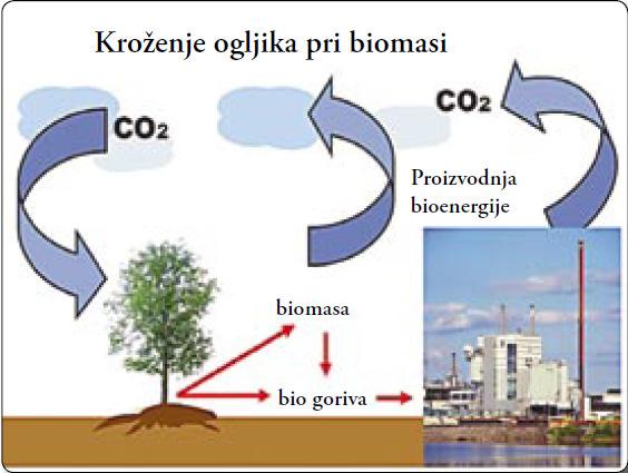 ivernih in vlaknenih plošč, če ne vsebujejo lesnih zaščitnih sredstev ali so bili z njimi obdelani in ne vsebujejo oplemenitenj iz halogeniranih organskih spojin, biomaso in brikete iz biomase brez