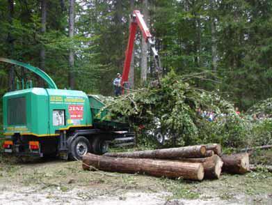 Slika 6: Pridobivanje surovine za lesno biomaso Vir: Kranjc & Premrl, 2010, str.