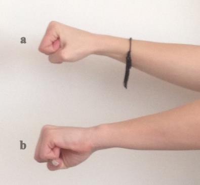 Položaji so povzeti po knjigi Cheer ples (Britvič, Cafnik, Batagelj, Petovar, in Osojnik, 2010). Jazz roke dlani so usmerjene naprej in prsti so široko razprti (Slika 8) Slika 8.
