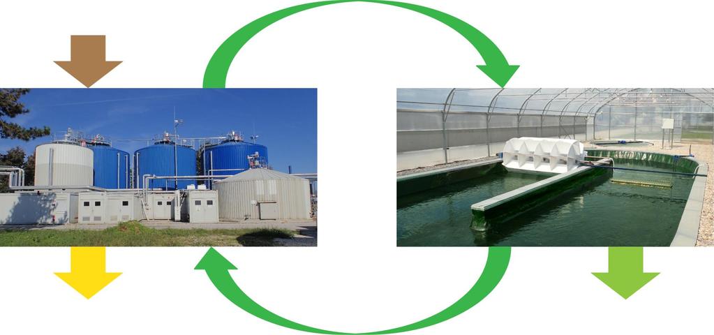 Osnovna zanka bioplin iz energetskih