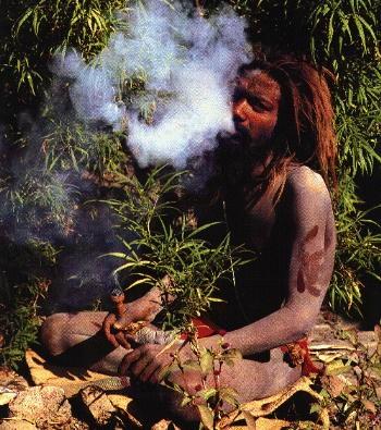 DUHOVNA RABA CANNABISA V rastafarijanstvu cannabis predstavlja sveto rastlino.