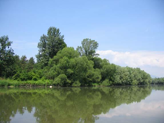 Fonda M. Funkcije gozdnatih površin ob reki Savinji v latkovski gmajni 25 poudarjena tudi rekreacijska in turistična funkcija, gozdni obronki, posamezno drevje v kulturni krajini.