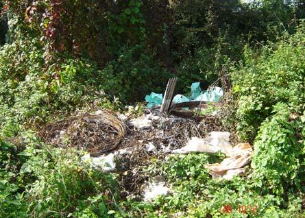 Latkovi vasi. V preteklosti so bila divja odlagališča eden največjih problemov v latkovski gmajni, saj so ljudje vozili odpadke iz vseh bližnjih krajev.