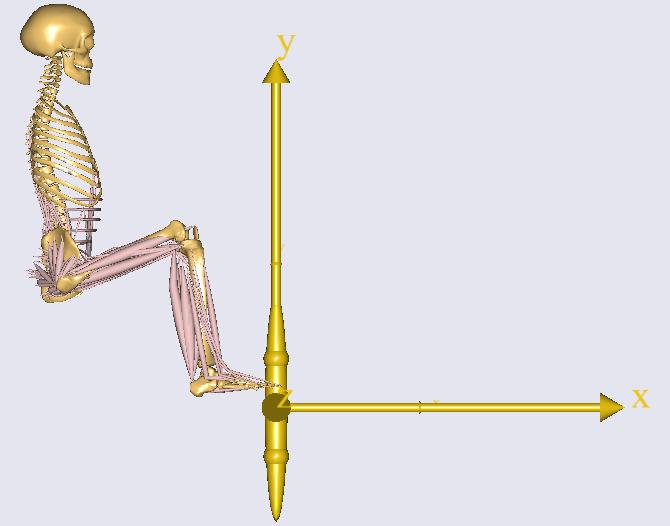 38 so dodatno razvidne mišice, ki smo jih dodali v desno nogo in trup. Slika 3.