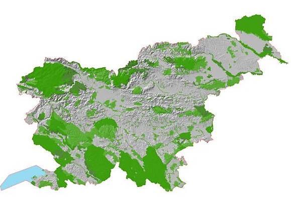 Obseg Nature 2000 v Sloveniji 355 območij v Sloveniji (324 direktiva o habitatih; 31 direktiva o pticah) območja
