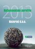 2013 Računovodsko poročilo Kocerod d.o.o. (za interno uporabo) Marec 2014